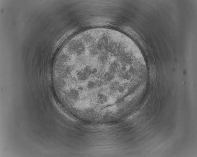 X0000078270533200612011722