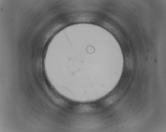 X0000078270534200612011722