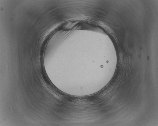 X0000078270535200612011722