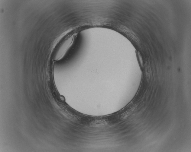 X0000078270536200612011722