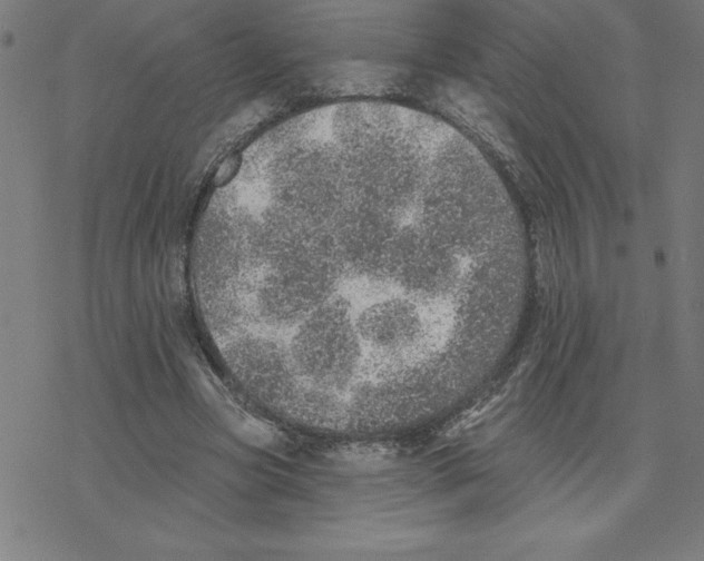 X0000078270537200612011722