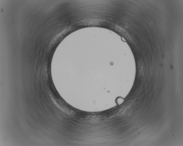 X0000078270538200612011722