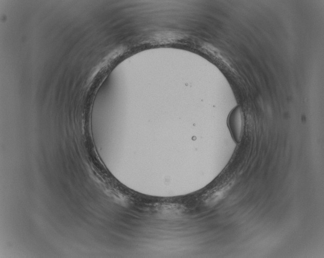 X0000078270539200612011722