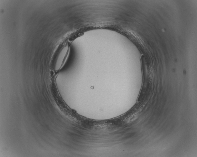 X0000078270540200612011722