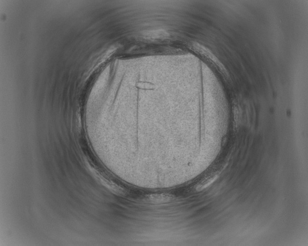 X0000078270541200612011722