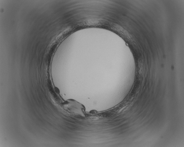 X0000078270542200612011722