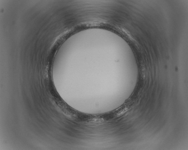 X0000078270543200612011722