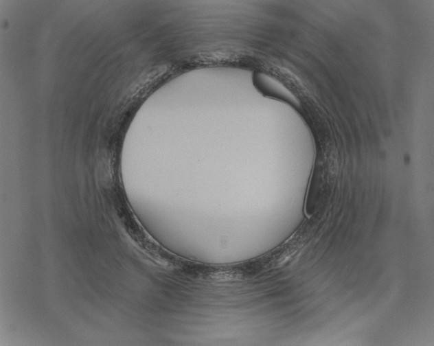 X0000078270546200612011722