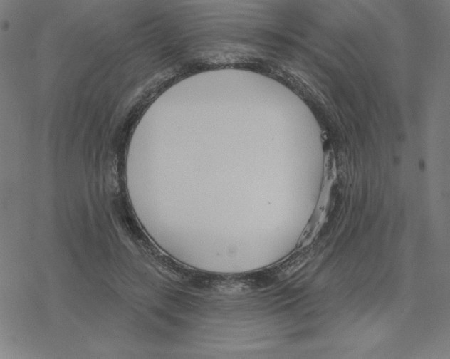 X0000078270547200612011722