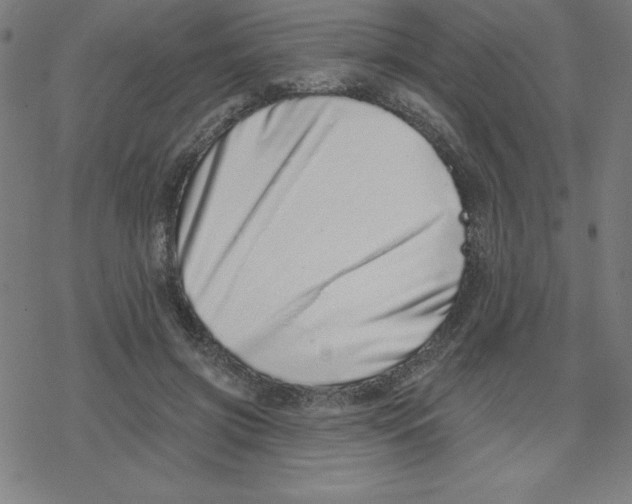 X0000078270549200612011722