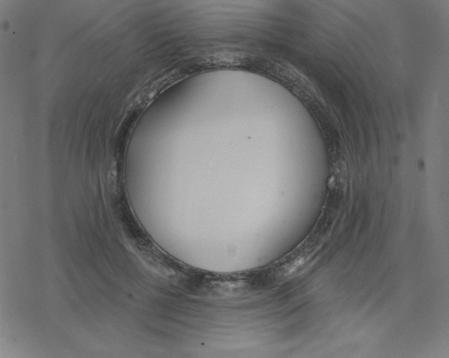 X0000078270552200612011722