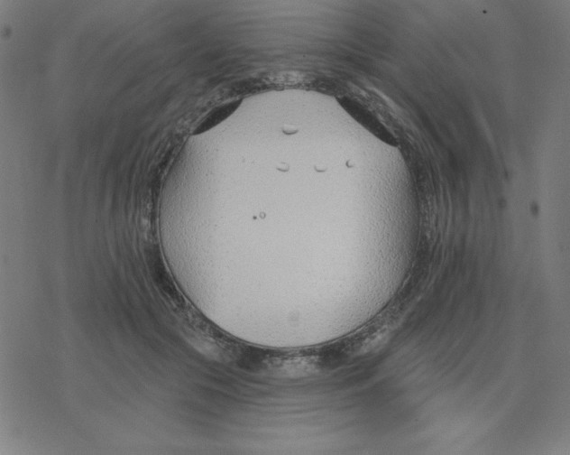 X0000078270553200612011722