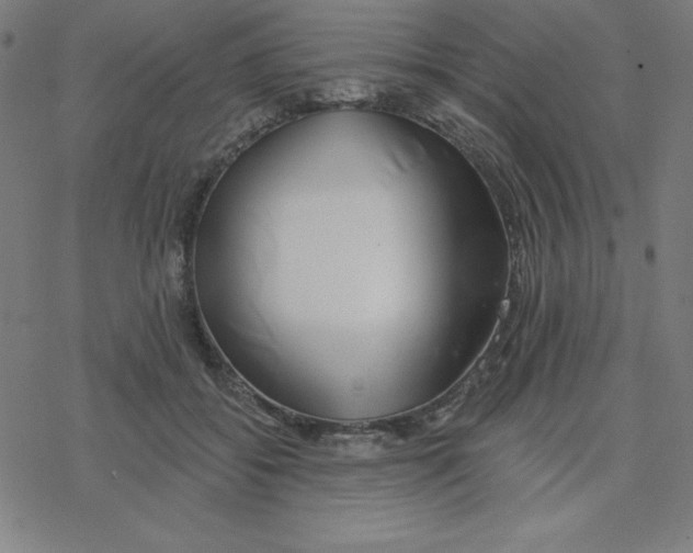 X0000078270556200612011722