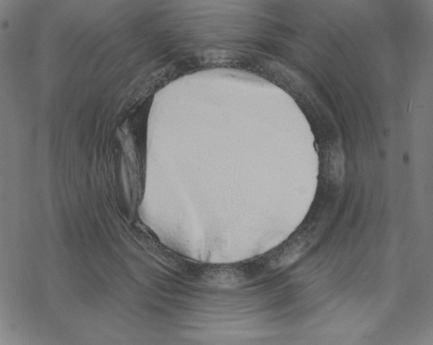 X0000078270557200612011722