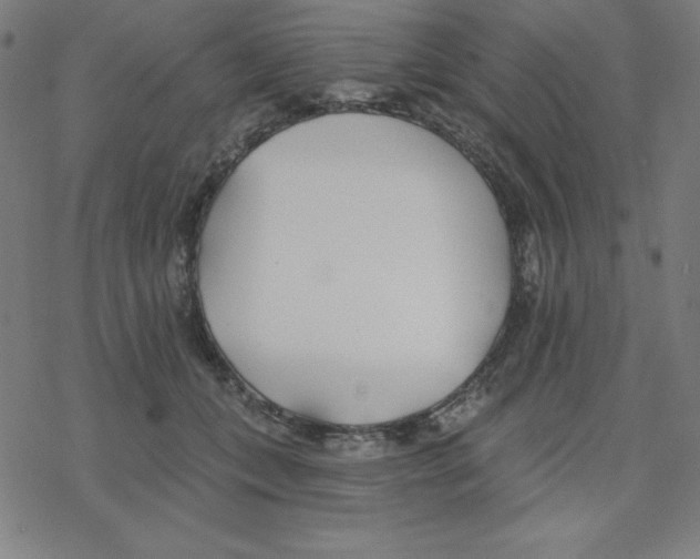 X0000078270559200612011722