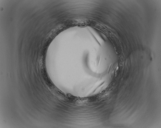 X0000078270560200612011722