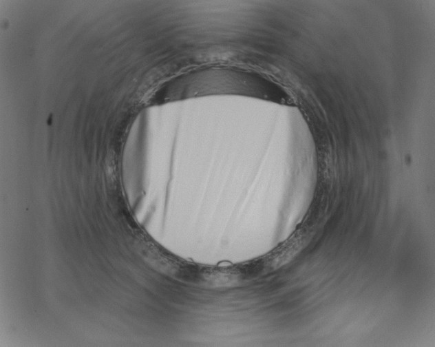 X0000078270561200612011722