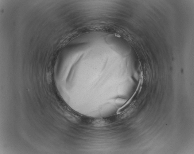 X0000078270562200612011722