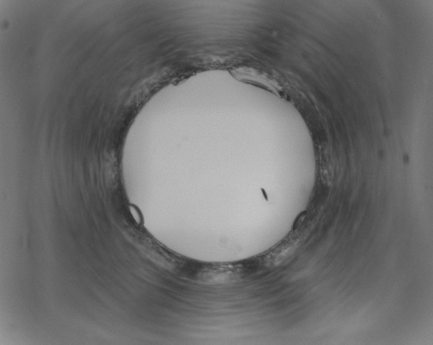 X0000078270563200612011722