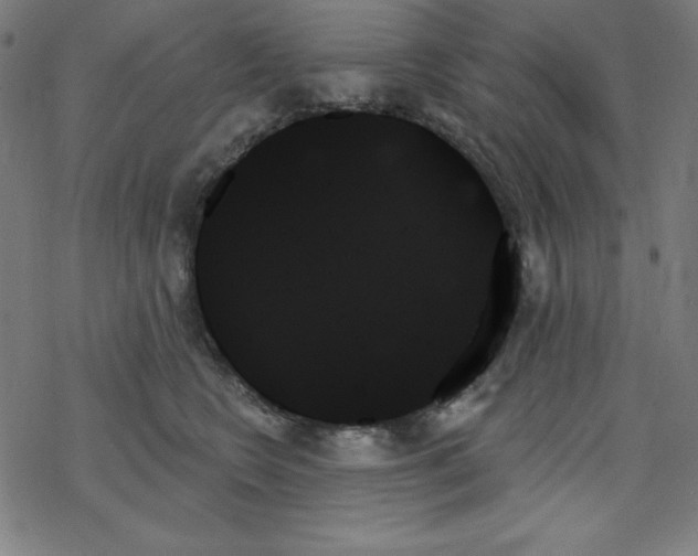 X0000078270566200612011722