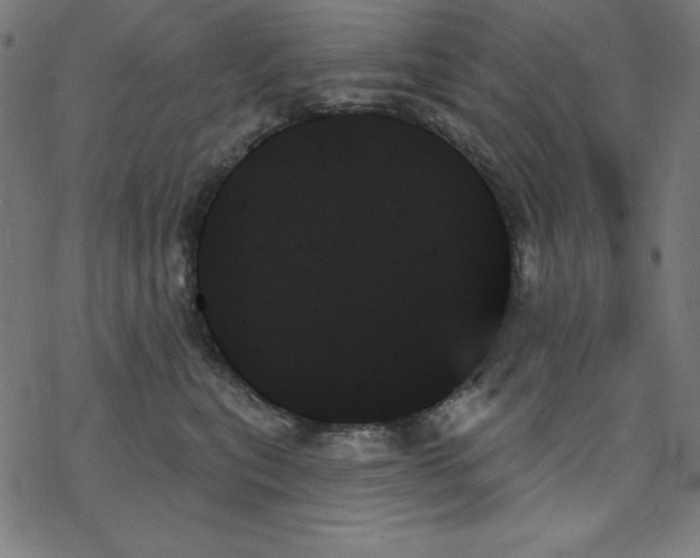 X0000078270567200612011722