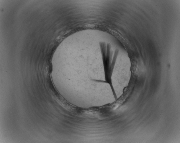 X0000078270568200612011722