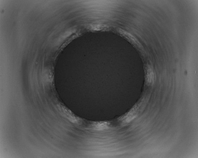 X0000078270569200612011722