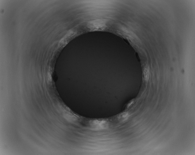 X0000078270570200612011722