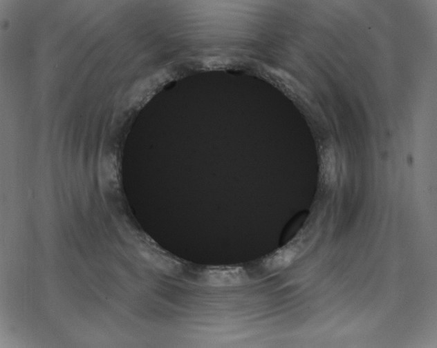 X0000078270571200612011722