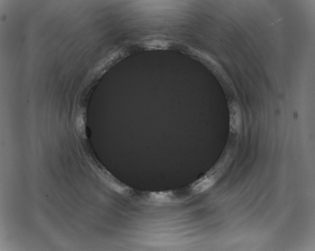 X0000078270573200612011722