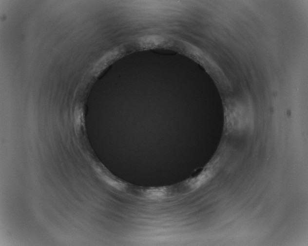 X0000078270574200612011722