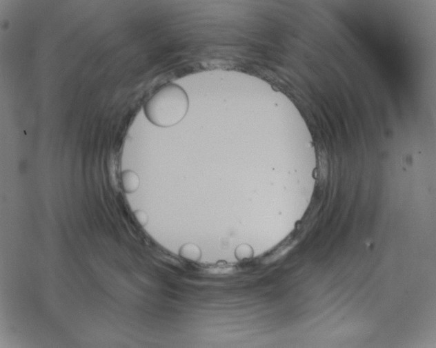 X0000078270575200612011722