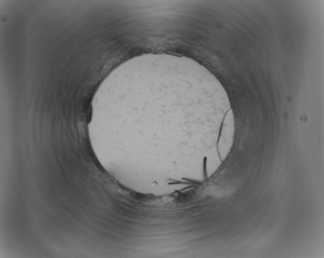 X0000078270576200612011722