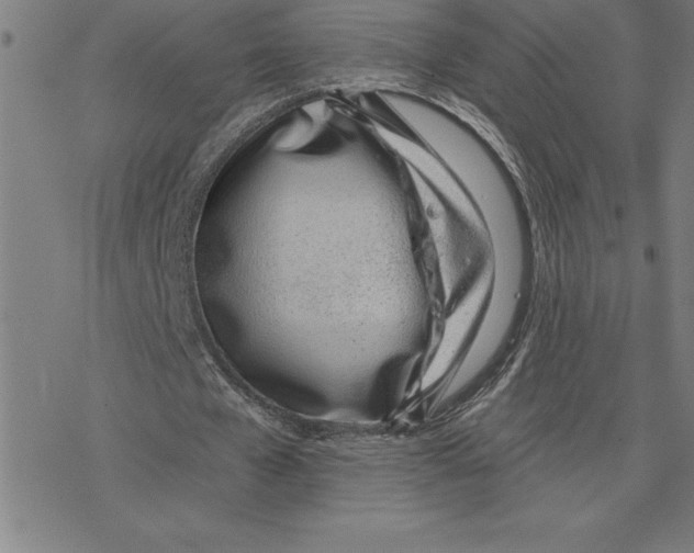 X0000078270577200612011721