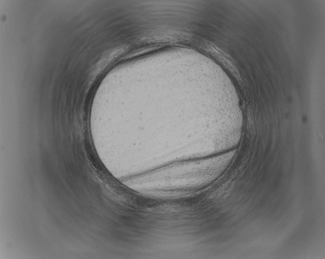 X0000078270578200612011721