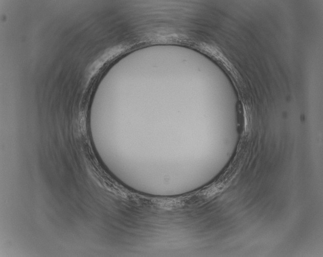 X0000078270579200612011721