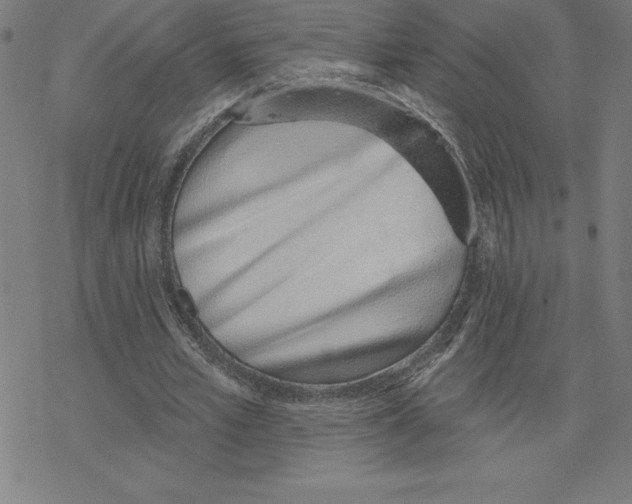 X0000078270581200612011721