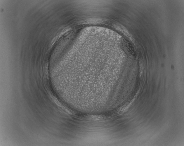 X0000078270585200612011721