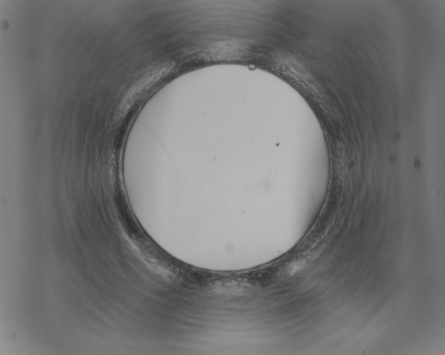 X0000078270586200612011721