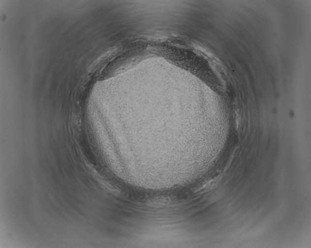 X0000078270593200612011721