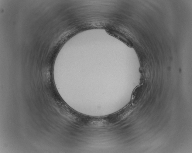 X0000078270595200612011721