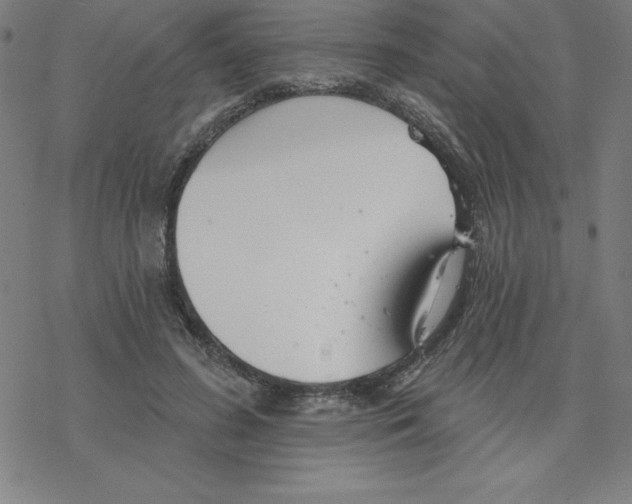 X0000078270596200612011721