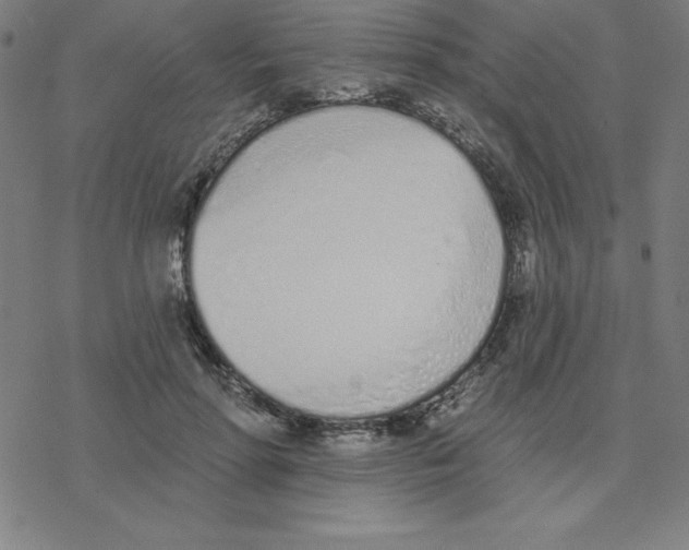 X0000078270598200612011721