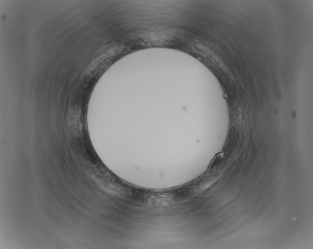 X0000078270599200612011721