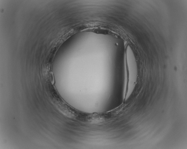 X0000078270601200612011721