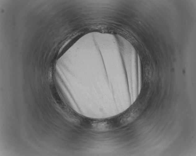 X0000078270602200612011721