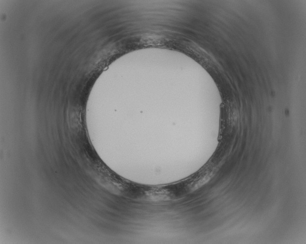 X0000078270603200612011721