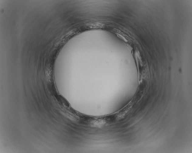 X0000078270604200612011721