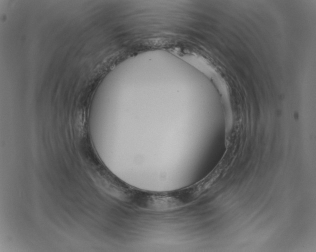 X0000078270605200612011721