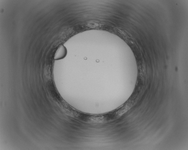 X0000078270606200612011721